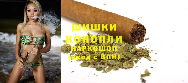 ГАЛЛЮЦИНОГЕННЫЕ ГРИБЫ Заволжье