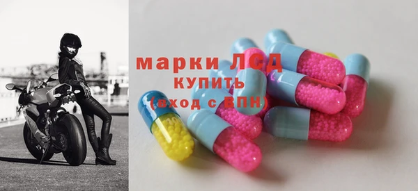 ГАЛЛЮЦИНОГЕННЫЕ ГРИБЫ Заволжье