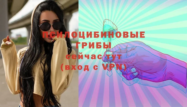 ГАЛЛЮЦИНОГЕННЫЕ ГРИБЫ Заволжье