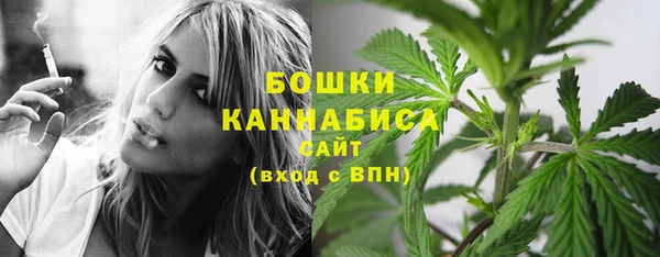ГАЛЛЮЦИНОГЕННЫЕ ГРИБЫ Заволжье