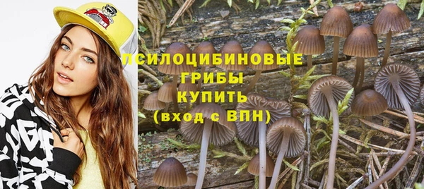 МДМА Заволжск